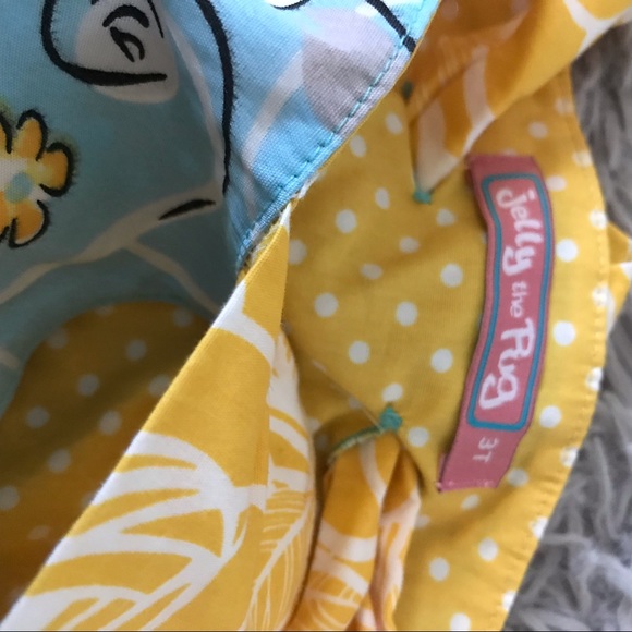 Last Chance⚡️Jelly the Pug bird dress 3T - Picture 5 of 6